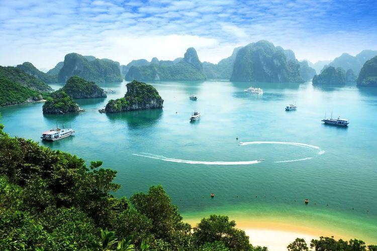 Hạ Long